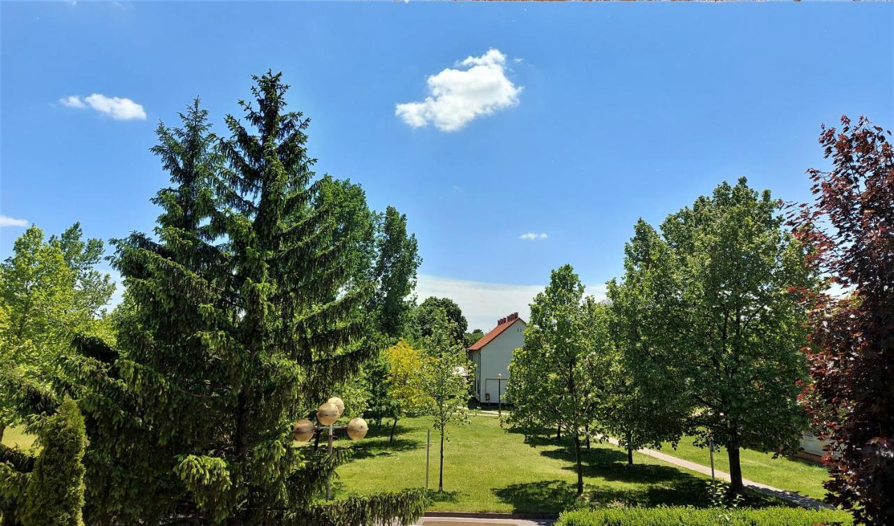 Csipke Hotel Кишкунхалаш Екстериор снимка